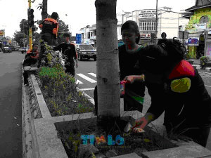 pramuka klaten peduli lingkungan pramuka klaten peduli lingkungan